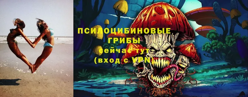 Псилоцибиновые грибы Magic Shrooms  хочу наркоту  гидра ссылка  Уссурийск 